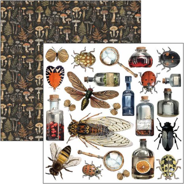 Ciao Bella, Cabinet of Curiosities 6x6 Inch Fussy Cut Pad