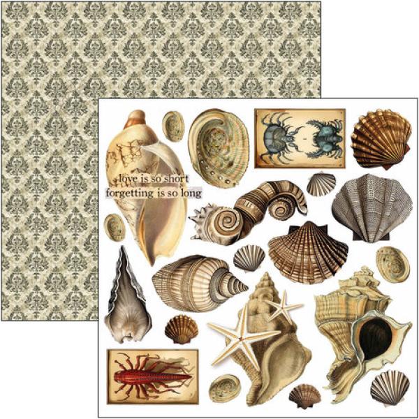 Ciao Bella, Cabinet of Curiosities 6x6 Inch Fussy Cut Pad