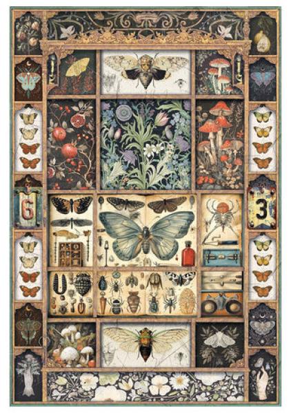 Ciao Bella, Cabinet of Curiosities A4 Rice Paper Mixed