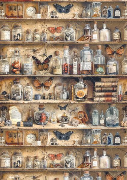 Ciao Bella, Cabinet of Curiosities A5 Rice Paper Mixed, 8-teilig