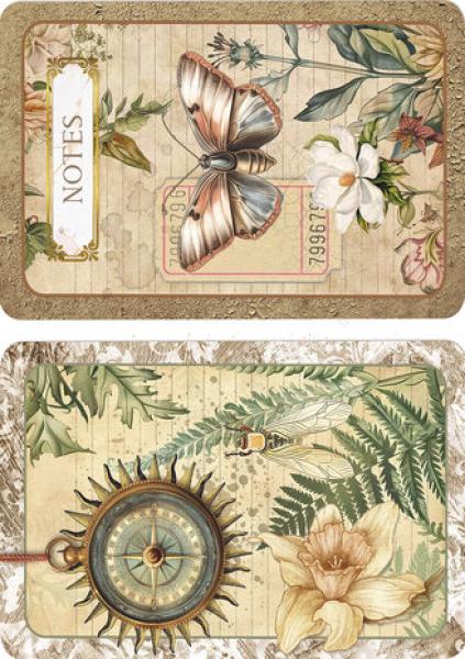 Ciao Bella, Cabinet of Curiosities A5 Rice Paper Mixed, 8-teilig