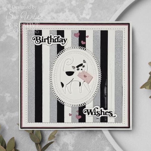 Creative Expressions, Sue Wilson Craft Die Mini Shadowed Sentiments Birthday Wishes