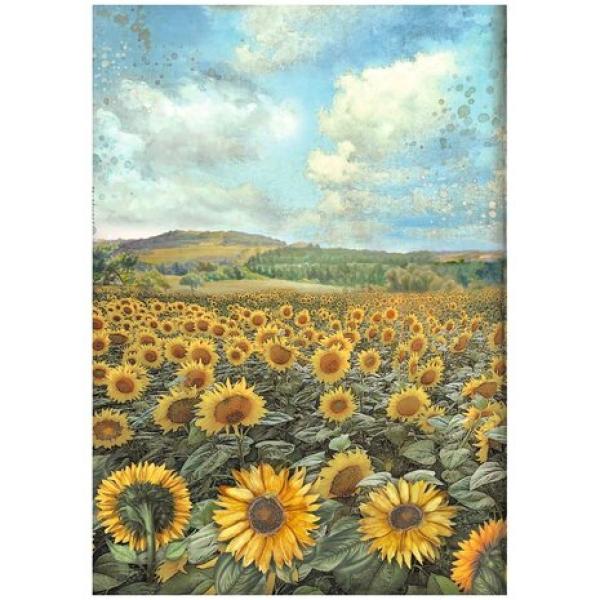 Stamperia, Sunflower Art A4 Rice Paper Selection