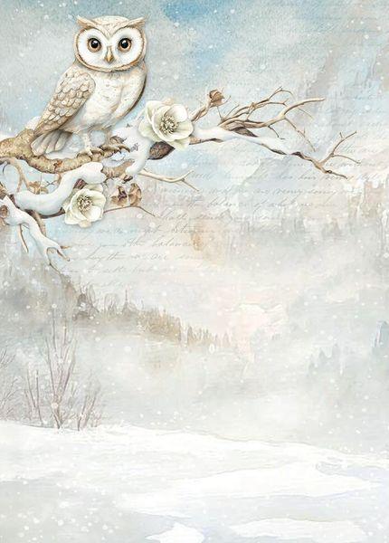 Stamperia, The Owl's House A6 Rice Paper Backgrounds
