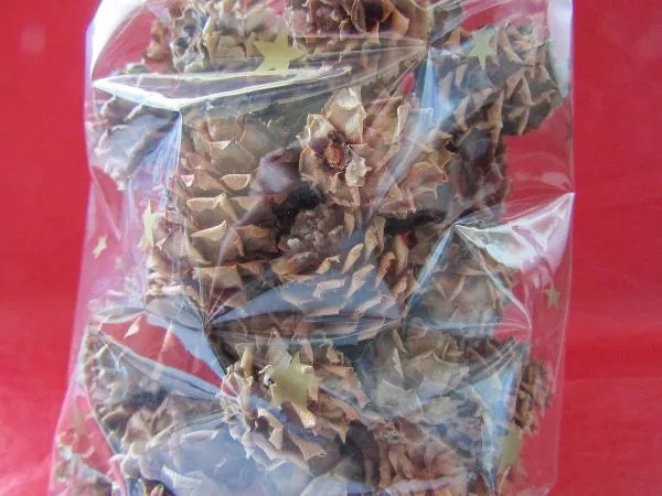 Wald-Deko, Zapfen, Salignum, ca 100 g