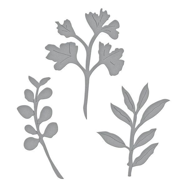 Spellbinders, Victorian Garden Foliage Etched Dies