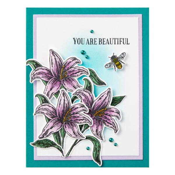 Spellbinders, Simon Hurley Beautiful Blooms Etched Dies