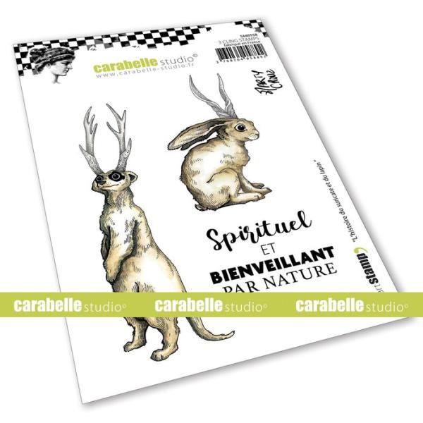 Carabelle Studio • Cling stamp A6 L'histoire du suricate et du lapin