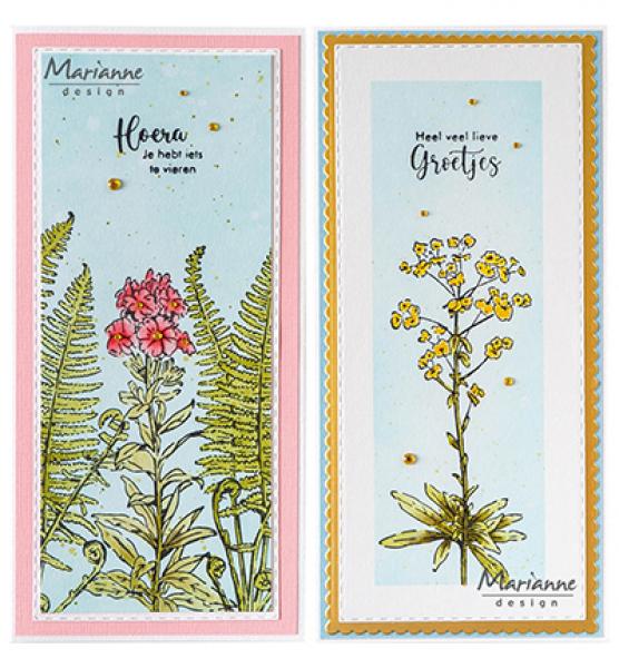 Marianne Design • Clear Stamps, Tiny's borders - Euphorbia