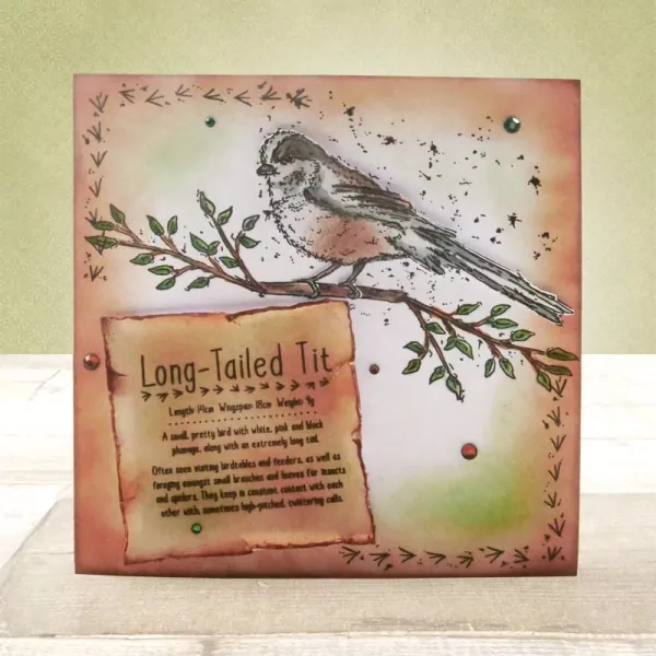 For the Love of Stamps - Watercolour Wings, Long Tailed Tit, Hunkydory