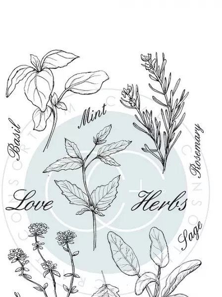 Craft Consortium The Herbarium Clear Stamps Herbs