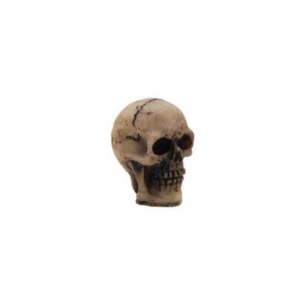 Idea-ology, Tim Holtz Halloween Skulls